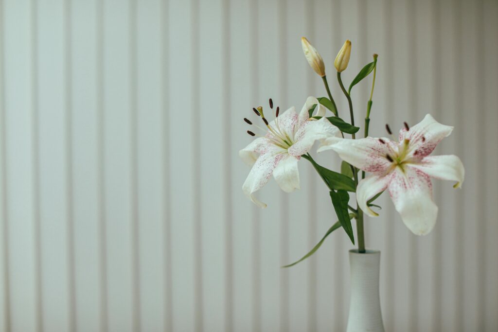 A delicate lily flower arranged in a simple white vase against a striped background.